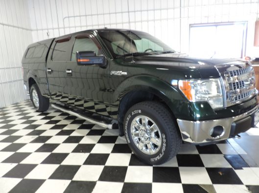 2013 Ford F150 010