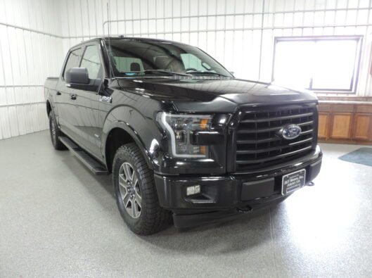 2017 Ford F150 010