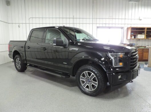 2017 Ford F150 011