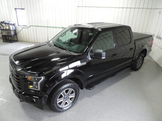 2017 Ford F150 018