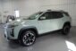 2025 Chevrolet Equinox Cacti Green 003