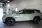 2025 Chevrolet Equinox Cacti Green 004