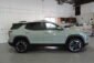 2025 Chevrolet Equinox Cacti Green 013
