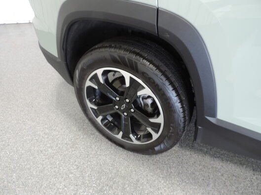 2025 Chevrolet Equinox Cacti Green 015