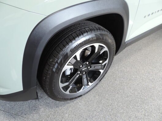 2025 Chevrolet Equinox Cacti Green 016