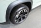 2025 Chevrolet Equinox Cacti Green 016