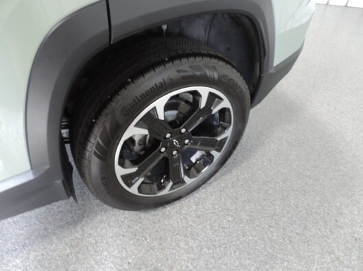 2025 Chevrolet Equinox Cacti Green 017