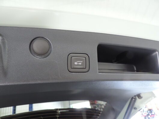 2025 Chevrolet Equinox Cacti Green 033