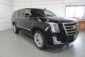 2019 Cadillac Escalade 011