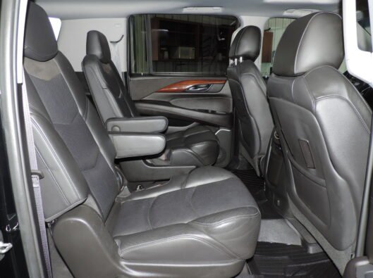 2019 Cadillac Escalade 031