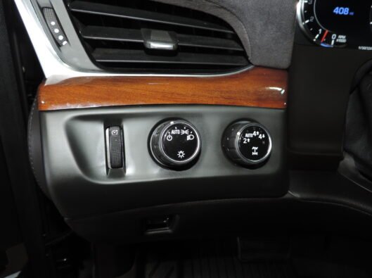 2019 Cadillac Escalade 059