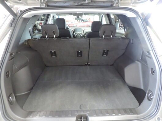 2018 Chev Equinox tan 026