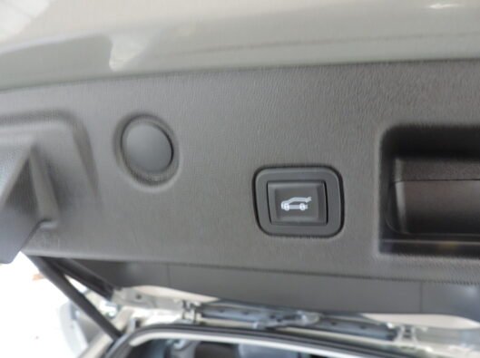 2018 Chev Equinox tan 029