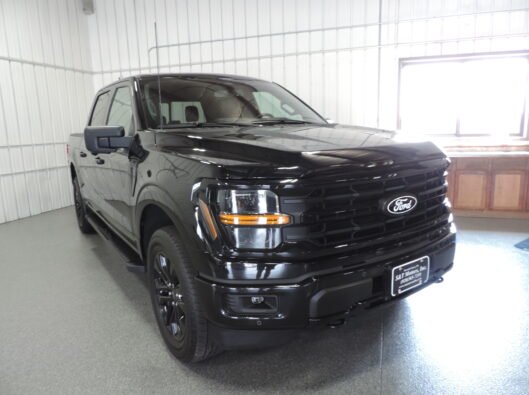 2023 Ford Black F150 006