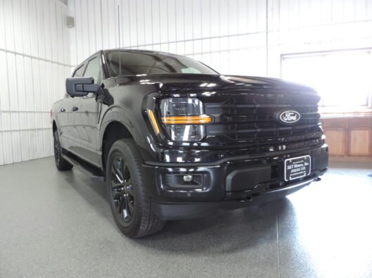 2023 Ford Black F150 007