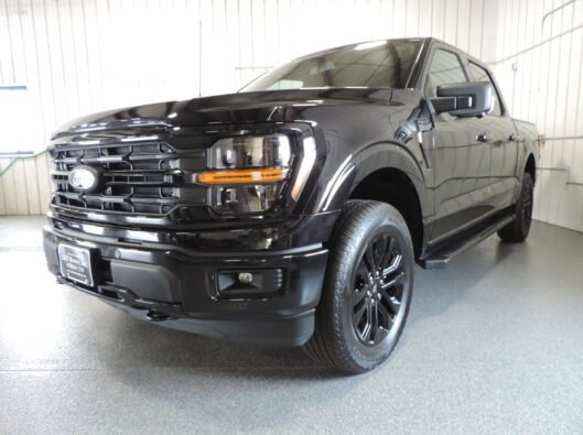 2023 Ford Black F150 009