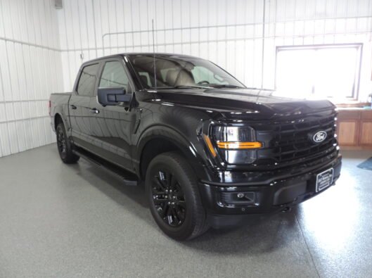 2023 Ford Black F150 010